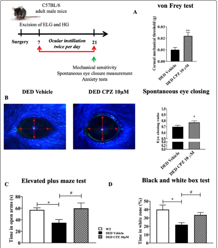 Fig. 6 Mechanical allodynia, eye closing ratio, and anxiety of DED animals treated with 10 μ M capsazepine or vehicle