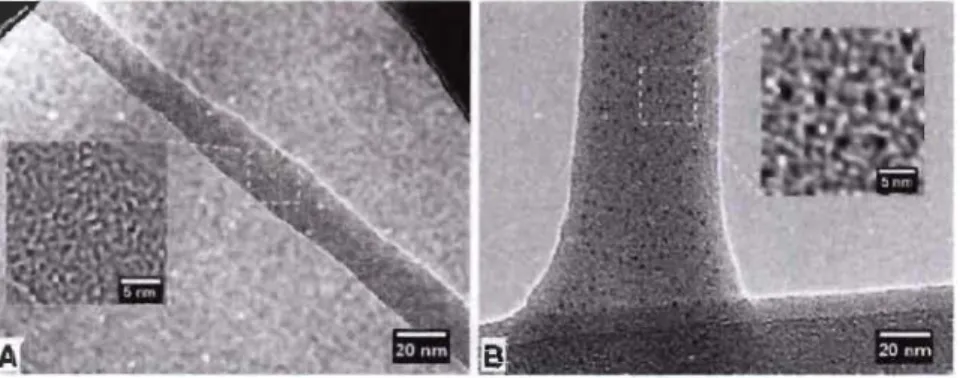 Figure 2.9 Une image HRTEM d'une (A) seule nanofibrille. (B)  nanofibrille  modifiée au CTAB (Syverud et al