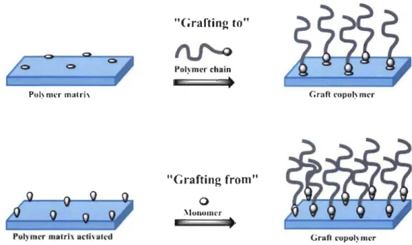 Figure 2.11  Représentations schématiques d'un greffage chimique de polymères par  les approches «Grafting to» (Greffage sur) et «Grafting from» (Greffage à  partir de) 