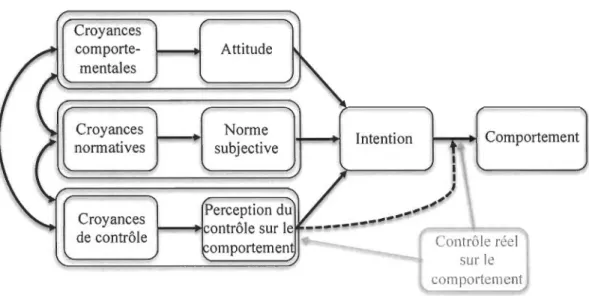 Figure  1.  Théorie  du  comportement  planifié  (Azjen,  1991)  adapté  de  Icek  Ajzen  ©  Copyright, http://people.umass.edulaizenltpb.diag.html