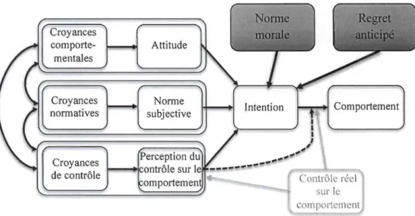 Figure  1.  Théorie du comportement planifié (Azjen,  1991) adapté de Icek Ajzen ©  Copyright, http://people.umass.eduJaizen/tpb.diag.html et ajout de la norme morale et le  regret anticipé