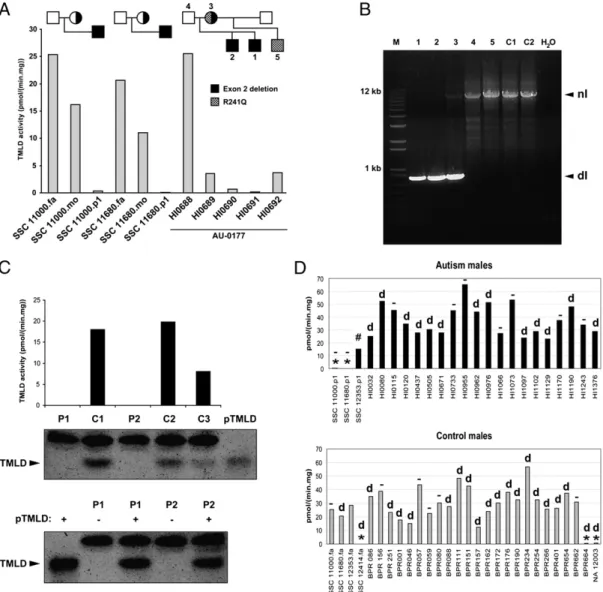 Fig. 3. Genetic and enzymatic characterization of hemizygous deletion of exon 2. (A) TMLD activity measured in lymphoblast homogenates of three families with exon 2 deletion