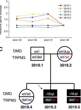 Fig. 1 Segregation of two rare CNVs in family 3019. a qPCR results for fine mapping distal and proximal ends of the DMD duplication.