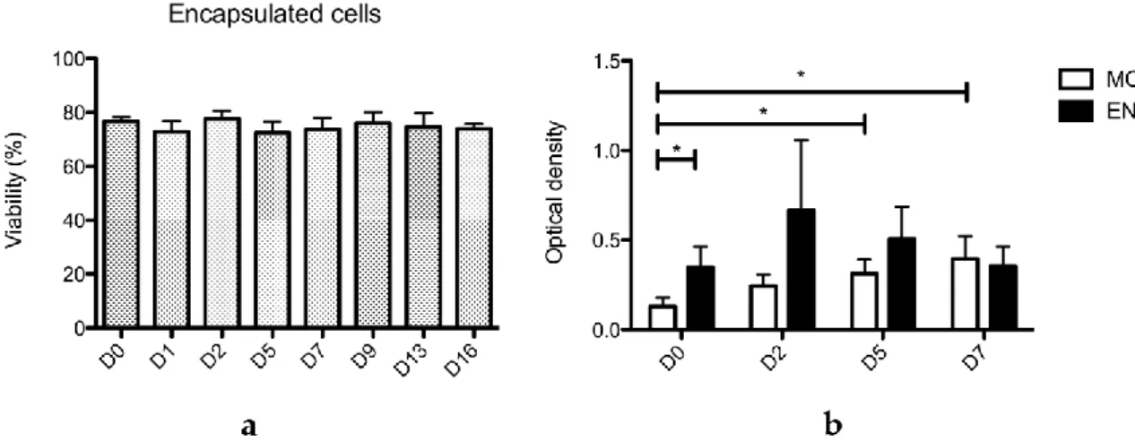 Figure  2. Viability  and  proliferation  of  encapsulated  and  monolayer  ASCs  from  the  three  donors  (16,023 at P3 and P4, 16,198 and 16,148 at P3, n = 4)