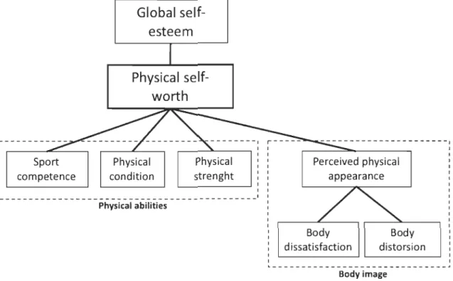Figure  9.  Physical  self-perceptions  (multidimensional  integrated  modelling  of physical  self-concept by Fox and Corbin (1989) and body image by Cash and Pruzinsky (1990)