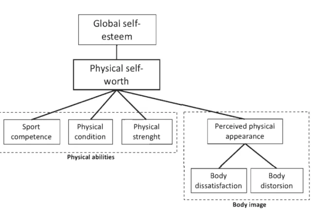 Figure  5.  Physical  self-perceptions  (multidimensional  integrated  modelling  of physical  self-concept by Fox and Corbin (1989) and  body image by Cash and Pruzinsky (1990)