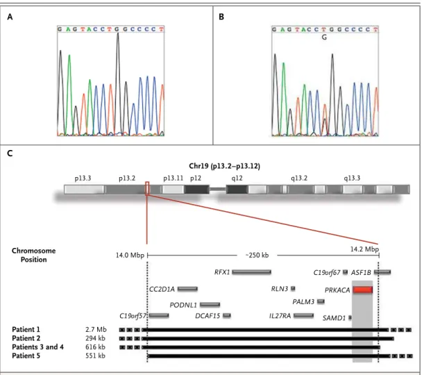 Figure 1. Identification of Somatic  PRKACA  Mutation and Germline Genetic Duplications.