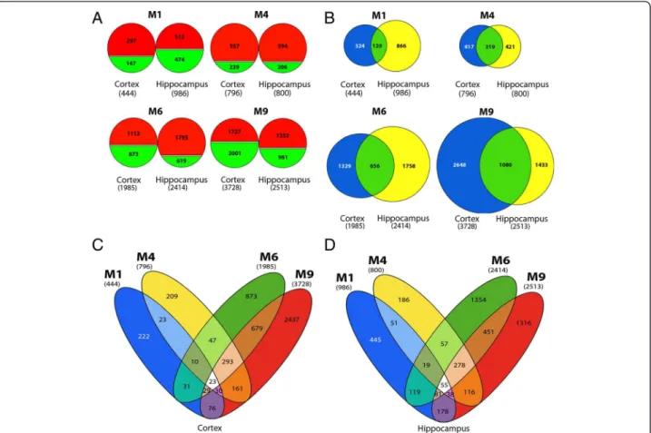 Figure 1 Overview of gene expression profiles in cortex and hippocampus of 5XFAD mice, at 4 different ages, reveals a shift in expression patterns between M1 and M4