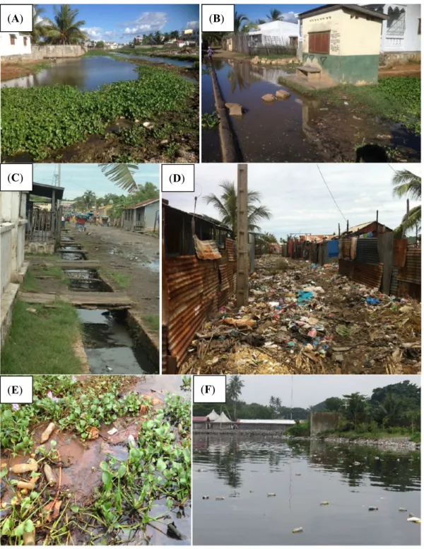 Figure 1. Plastics and garbage in an open sewer network; (A–D) Mahajanga, Madagascar, 2014, (A,B)  open sewer network, (C) standpipe in a flooded area, (D) garbage pen in an area liable to flooding; 
