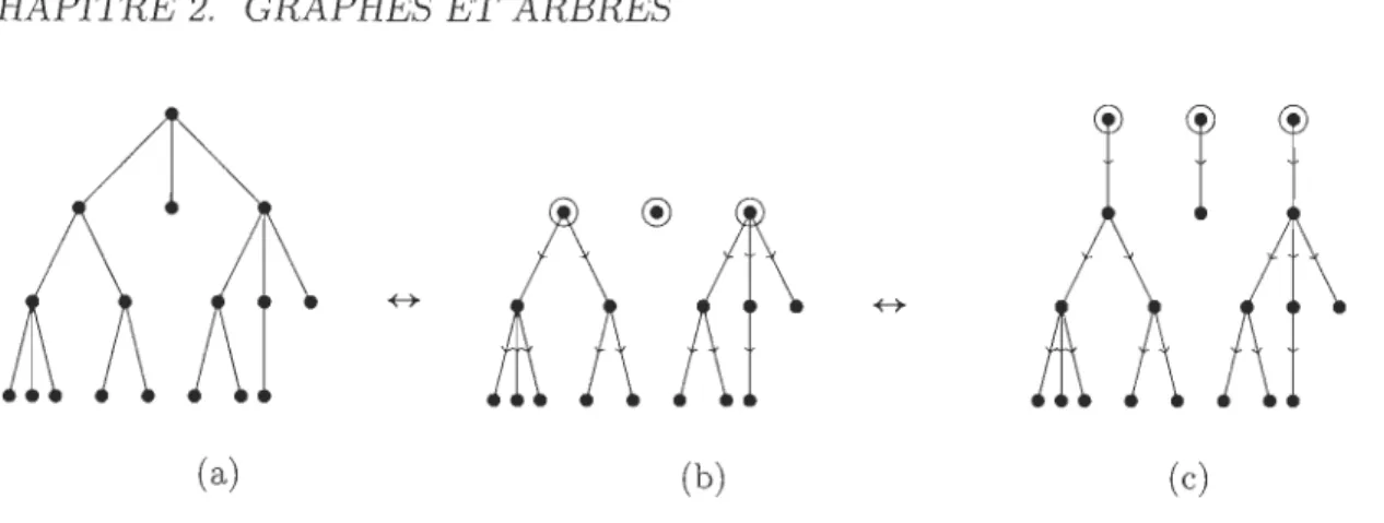 FIGURE  2.8  - Construction de  trois  4-arbres  plantés,  dont  deux de  diamètre de  racine 3,  à  partir d'un 4-arbre de  diamètre 6