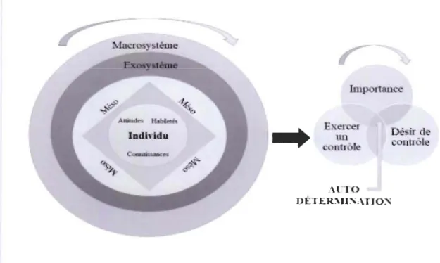 Figure  5.  Modèle écologique de l'autodétermination (Abery et Stancliffe, 2003, cité par  Caouette, 2014)