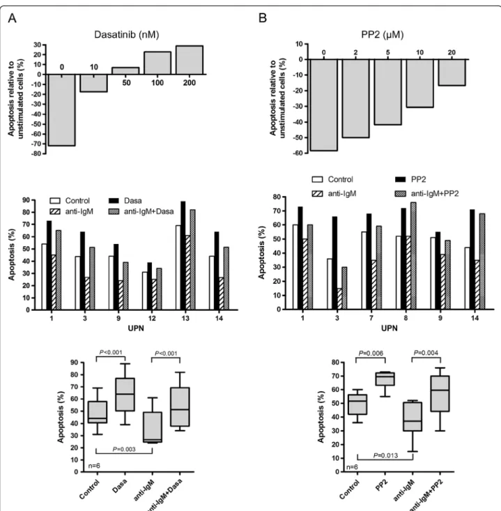 Figure 6 PP2 and dasatinib suppress BCR-induced cell survival. (A) Primary MCL cells (UPN3) were either left untreated or stimulated for 24 h with an anti-IgM antibody in the presence or in the absence of various concentrations of dasatinib (10 to 200nM) (