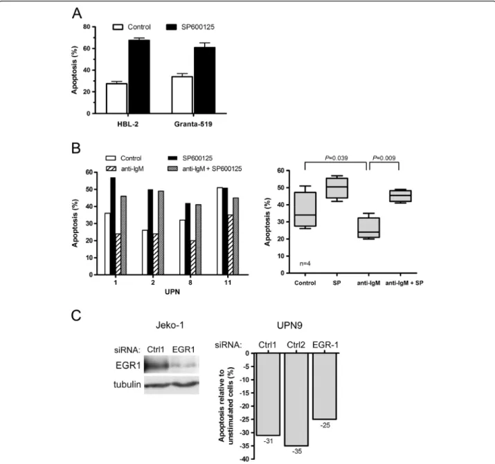 Figure 3 Targeting JNK and EGR-1 induces MCL apoptosis and decreases BCR-induced cell survival