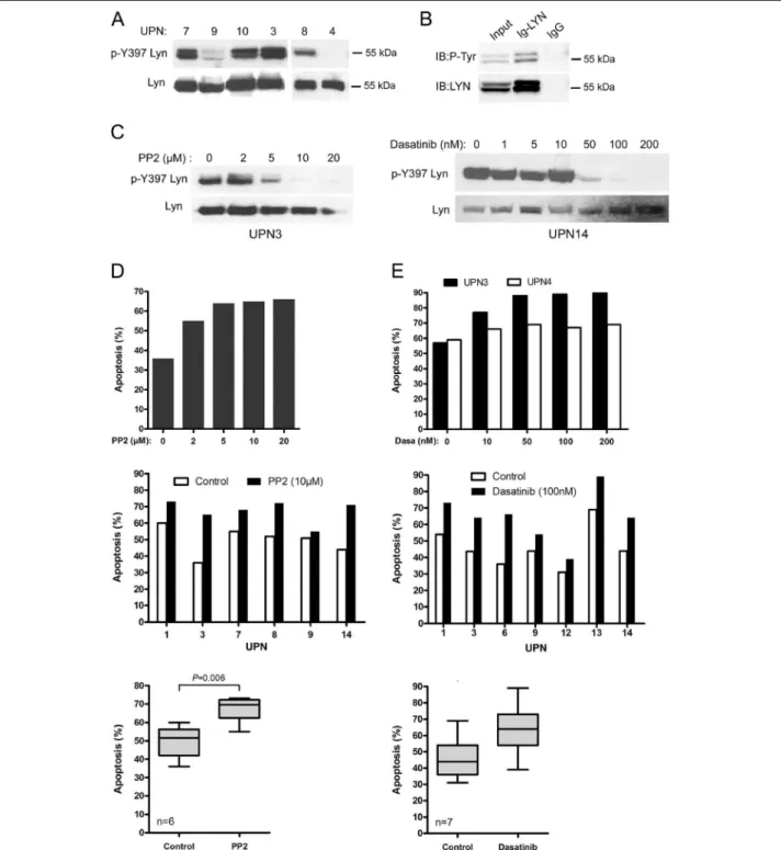 Figure 4 PP2 and dasatinib inhibit constitutive phosphorylation of LYN and induce apoptosis of primary MCL cells