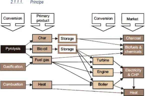 Figure 4 - Produits issus de la  conversion thermochimique de la biomasse [11] 