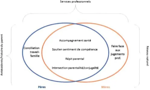 Figure 4.  Carte  conceptuelle  de  l'interaction  entre  les antécédents  personnels  du  parent, des services professionnels, du réseau naturel du parent et de ses besoins dans son  expérience de la parentalité