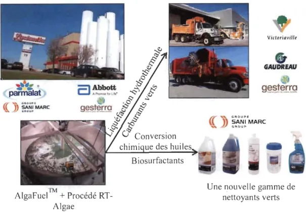 Figure  1.1  Projet  VERTECH  1:  Intégration  d' une  culture  de  microalgues  à  Victoriaville pour l'obtention de produits biosourcés à usage  local