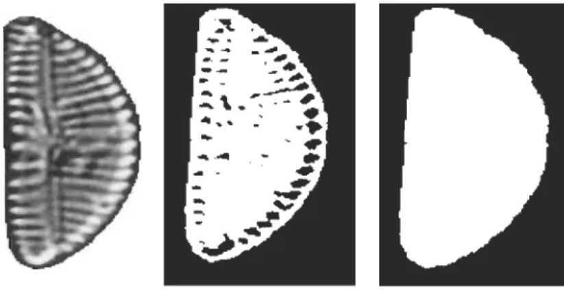 Figure 3.4  Processus de  la  binarisation.  À  gauche,  l'image originale, au  milieu  l'image  binaire obtenue avec la  méthode OTSU  et à droite l'image finale