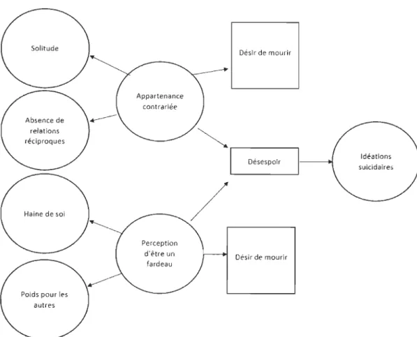 Figure  3.  Modèle  explicatif de  l' origine  et  du  développement  du  désir  de  mourir  selon  Van Orden et al