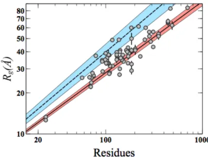 Figure   2.   R g    values   from   Table   1   (gray   dots)   as   a   function   of   the   number   of   residues   are   plotted   in    Log-­‐Log   scale