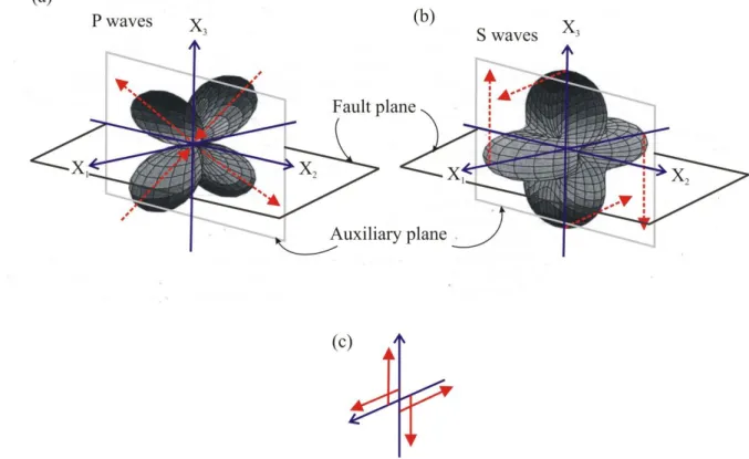 Figure 1.7: Radiation amplitudes patterns of P waves (a) and S waves (b) for a point source