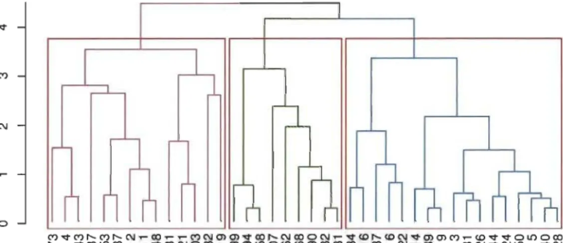 Figure 11  - Exemple de dendrogramme avec une coupure en trois classes 