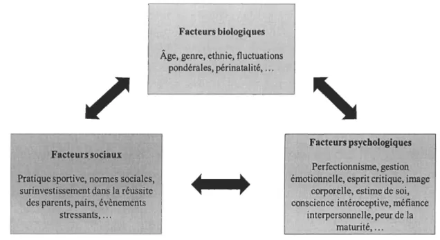 Figure 2.4 Modèle biopsychosocial 
