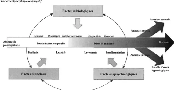 Figure 2.5 Facteurs d'influence des ACAI selon le modèle biopsychosocial 