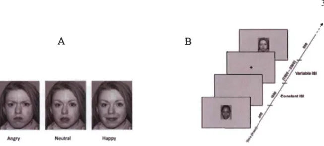 Figure 1.  A)  Representative example of a stimuli used in this  study exhibiting angry, neutral and  happy facial expressions B) Time course of trials with stimuli
