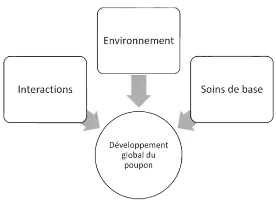 Figure 2.  Facteurs d'influence  qui  soutiennent  le  développement  global  des  poupons  en  service de garde éducatif