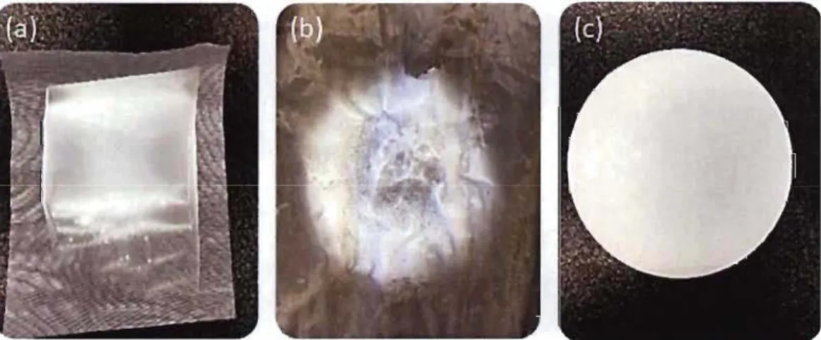 Figure 4.1:  Dépôts des NFCIPEO sur les  supports testés;  (a) la toile de  nylon,  (b)  la toile d'acier, (c) le papier 