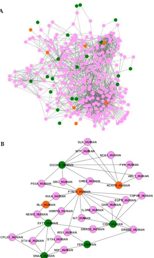 Figure 2. Subnetwork of the 27 connected proteins associated with sepsis and their direct interactors