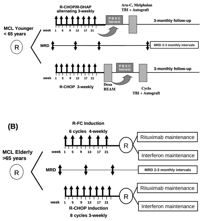Figure 1 A and B: Diagram of the two randomized EU-MCL network trials. (A) MCL  Younger and (B) MCL Elderly with the respective MRD sampling time points