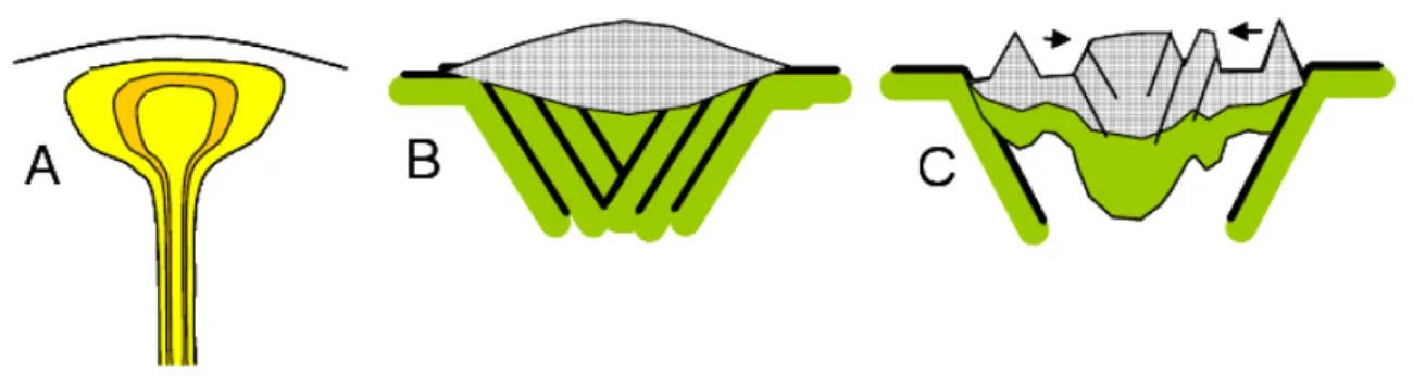 Figure 1.7: Three proposed scenarii to explain the formation of cratonic roots (vertical scale exaggerated)