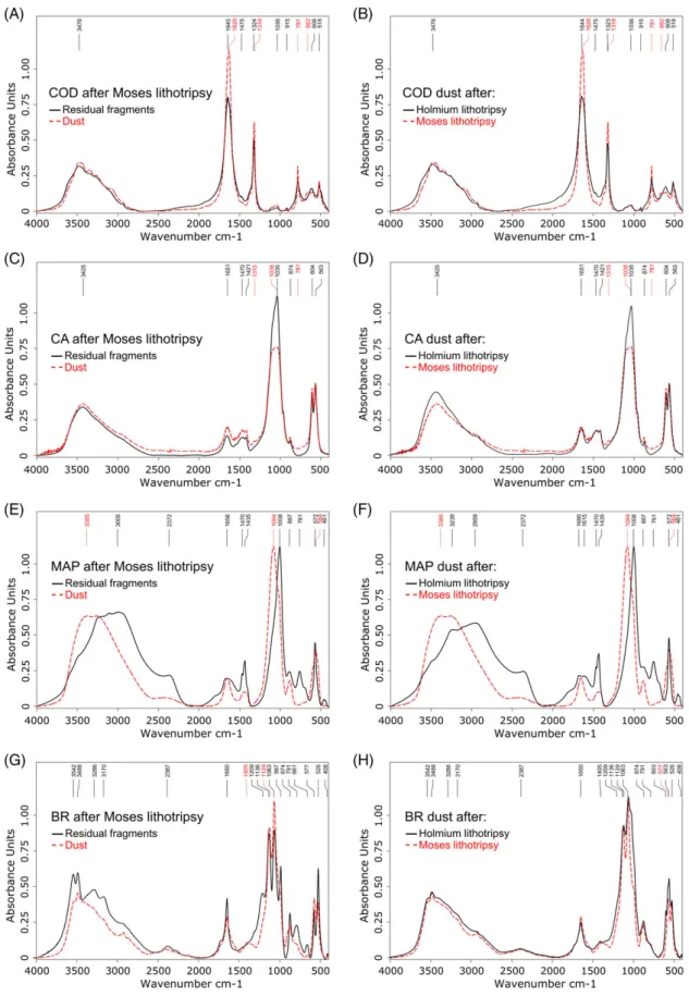 FIGURE 5 Constitutional analysis by Fourier-transform infrared spectroscopy. Comparison between RF and stone dust revealed spectra changes for several constitutional stone types