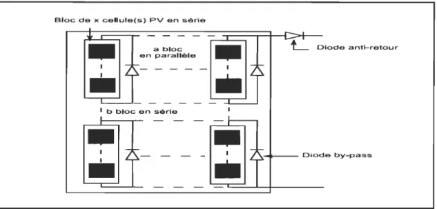 Figure 3-6  Schéma d ' un  module photovoltaïque avec de diodes de  protection 
