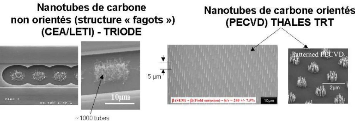 Fig. 3.13: Typologie des nanotubes dans les cathodes d´evelopp´ees par le CEA/LETI (photos de gauche) et Thales/TRT (photos de droite), et test´ees au laboratoire