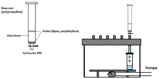 Figure 2.1. Cartouche employée pour l’extraction sur phase solide et le dispositif à vide  utilisé pour la préparation d’échantillon.