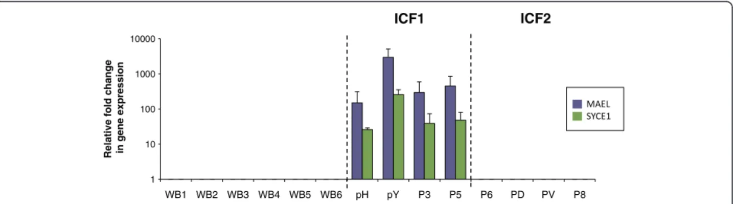 Figure 1 Expression of MAEL and SYCE1 in whole blood defines specific biomarkers for ICF1 patients