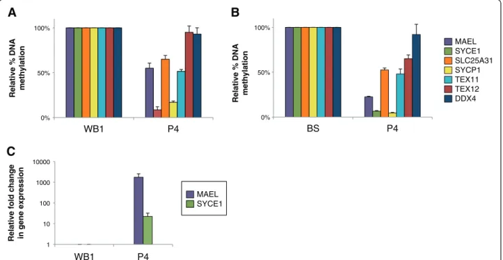 Figure 3 Hypomethylation coupled to illegitimate expression of MAEL and SYCE1 to diagnose ICF1 syndrome