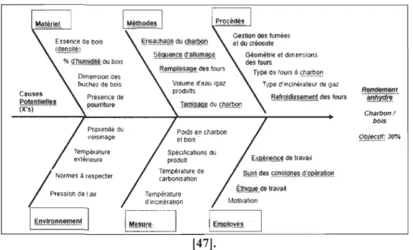 Figure 2.3 : Variables affectant la  conversion thermochimique du bois en charbon 