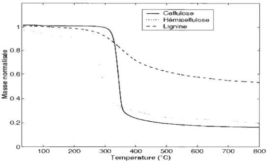 Figure 2. 6: Décomposition des principaux composants du bois  [51] 