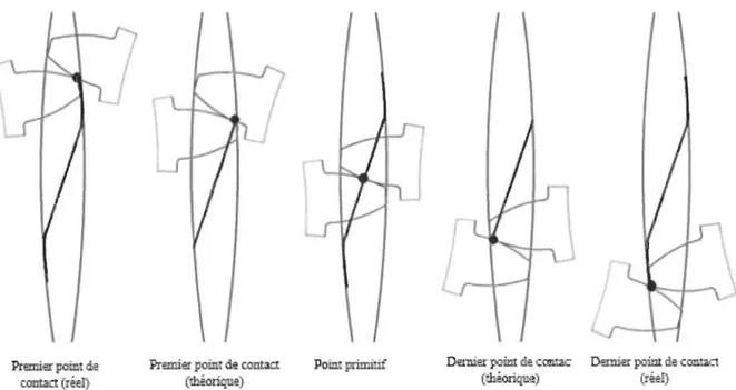 Figure 21  : Les lignes de contact réels et théoriques pour une paire de dents  d'engrenage en  polymère [85,  86]