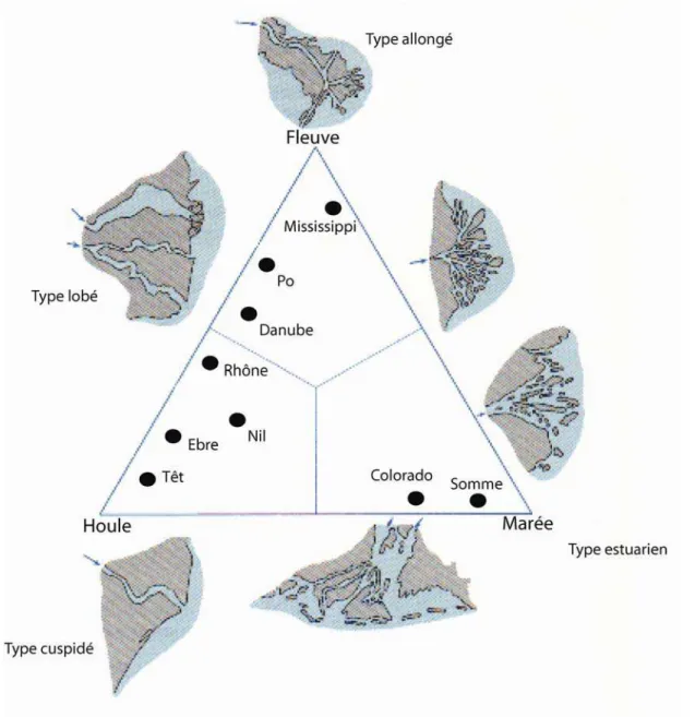 Figure 1-2 : Les différents types d’environnements deltaïques suivant la dominance des vagues, du fleuve  ou de la marée (redessiné d’après Galloway, 1975)