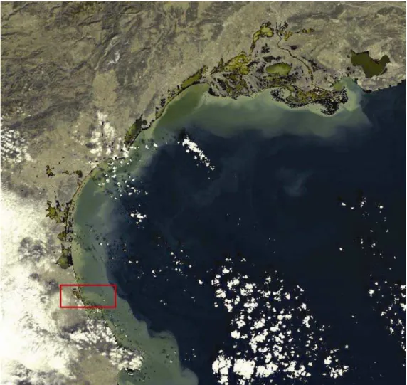 Figure 1-4 : Image satellite MERIS du golfe du Lion prise le 8 décembre 2003 (Agence Spatiale  Européenne, Frascati, Italie)
