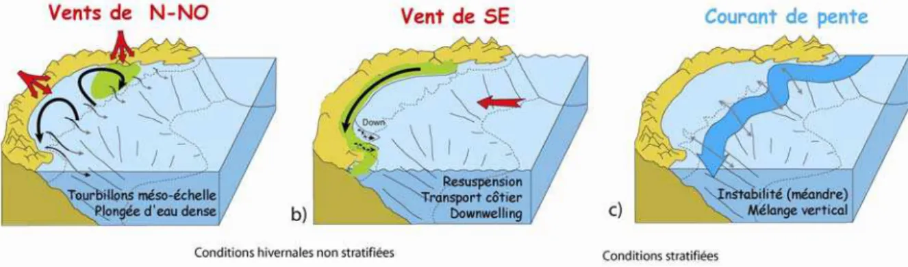 Figure 2-3 : Schémas montrant les principaux mécanismes d’échange côte-large dans le golfe du Lion sous  l’influence des vents continentaux (a), sous l’influence des vents marins de SE (b), et du courant de pente  (ou thermo-halin) (c)