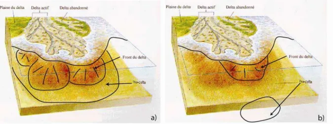 Figure 2-6 : Schéma d’un delta bien développé et de son prodelta. (type Rhône, a) et d’un delta et prodelta  reliés à un petit fleuve côtier (type Têt, b) 