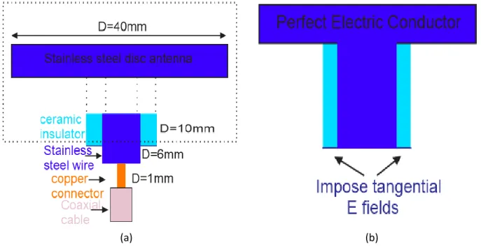 Figure 2.11.  A view of the RF field excitation in a capacitive coupling mode (a) A cut of the Aline disc  antenna and its feeder