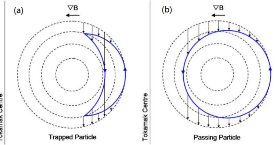 Figure 1.7: (a) Trapped and (b) passing particles in the view of the poloidal cross-section of tokamaks.