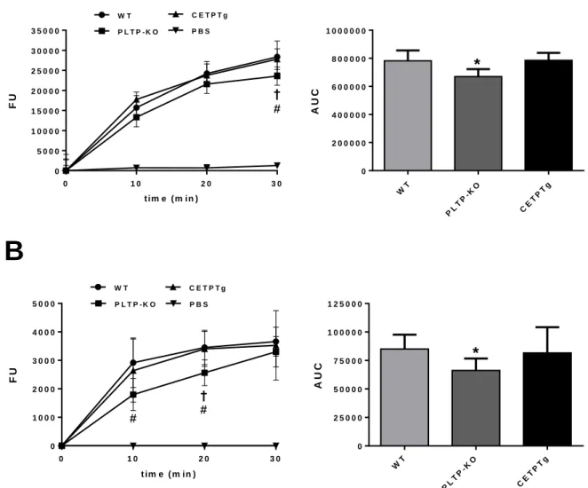 Figure 1: Role of CETP in LPS transfer activity between lipoproteins.  